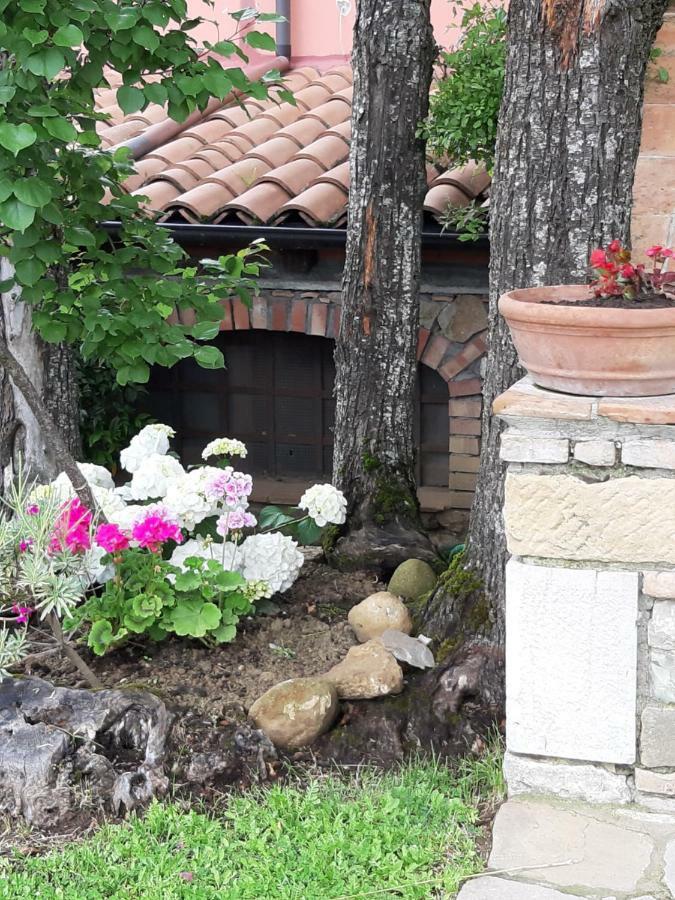 Al Giglio D'oro Guest house Ruvo del Monte